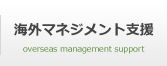 海外マネジメント支援